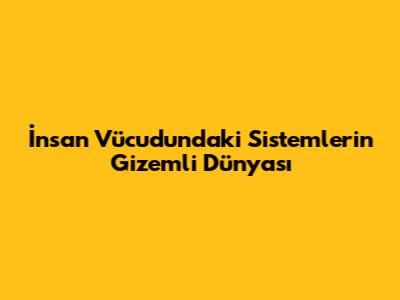 İnsan Vücudundaki Sistemlerin Gizemli Dünyası