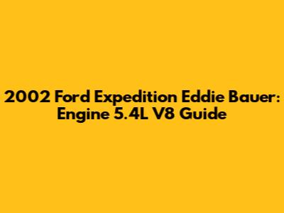 2002 Ford Expedition Eddie Bauer: Engine 5.4L V8 Guide