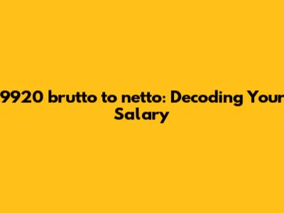 9920 brutto to netto: Decoding Your Salary