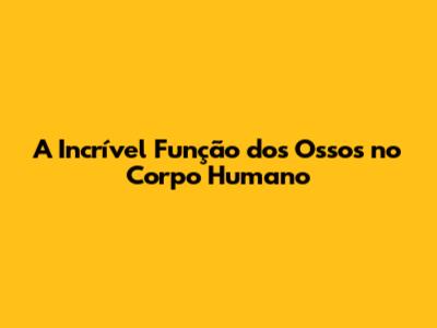 A Incrível Função dos Ossos no Corpo Humano
