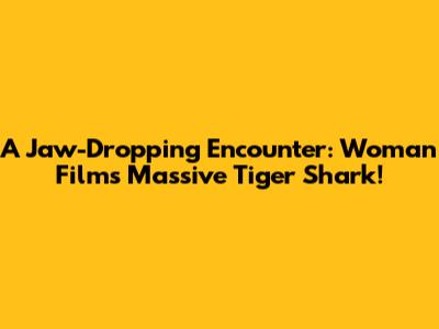 A Jaw-Dropping Encounter: Woman Films Massive Tiger Shark!
