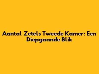 Aantal Zetels Tweede Kamer: Een Diepgaande Blik