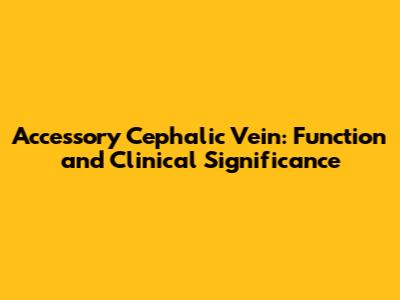 Accessory Cephalic Vein: Function and Clinical Significance