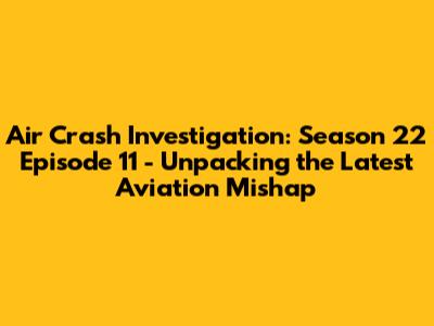 Air Crash Investigation: Season 22 Episode 11 - Unpacking the Latest Aviation Mishap