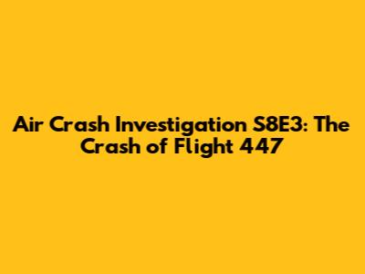 Air Crash Investigation S8E3: The Crash of Flight 447