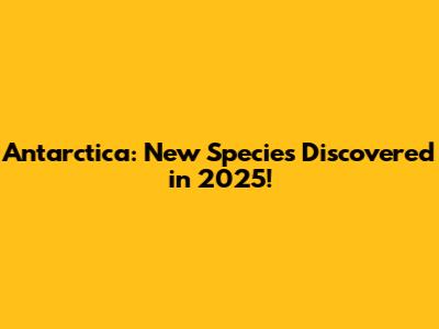 Antarctica: New Species Discovered in 2025!