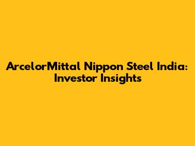 ArcelorMittal Nippon Steel India: Investor Insights