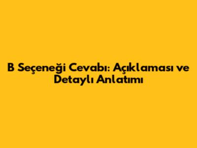 B Seçeneği Cevabı: Açıklaması ve Detaylı Anlatımı