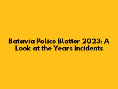 Batavia Police Blotter 2023: A Look at the Year's Incidents