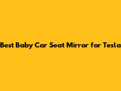 Best Baby Car Seat Mirror for Tesla