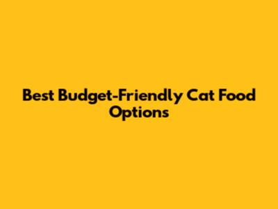 Best Budget-Friendly Cat Food Options