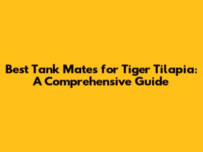 Best Tank Mates for Tiger Tilapia: A Comprehensive Guide