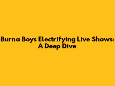 Burna Boy's Electrifying Live Shows: A Deep Dive
