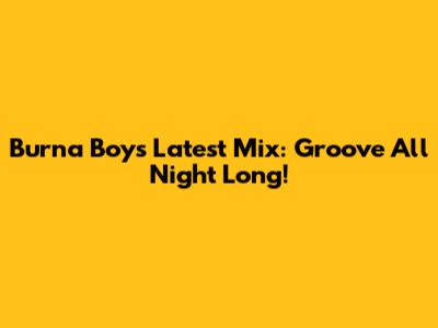 Burna Boy's Latest Mix: Groove All Night Long!
