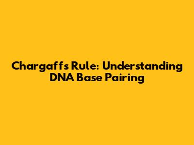 Chargaff's Rule: Understanding DNA Base Pairing