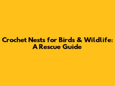 Crochet Nests for Birds & Wildlife: A Rescue Guide