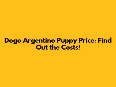Dogo Argentino Puppy Price: Find Out the Costs!