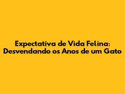 Expectativa de Vida Felina: Desvendando os Anos de um Gato