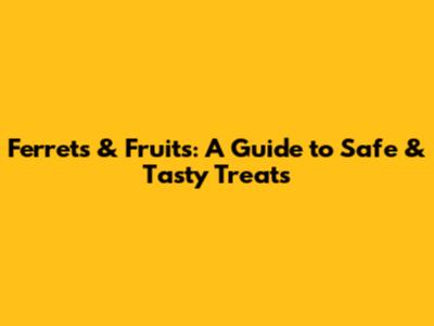 Ferrets & Fruits: A Guide to Safe & Tasty Treats