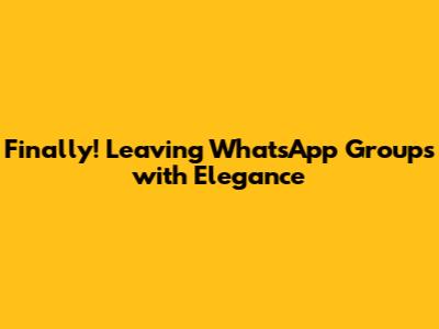 Finally! Leaving WhatsApp Groups with Elegance