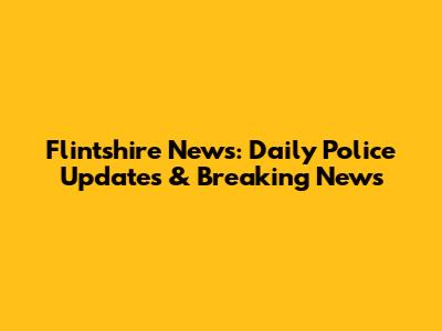 Flintshire News: Daily Police Updates & Breaking News