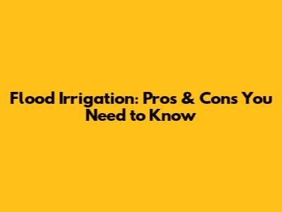 Flood Irrigation: Pros & Cons You Need to Know