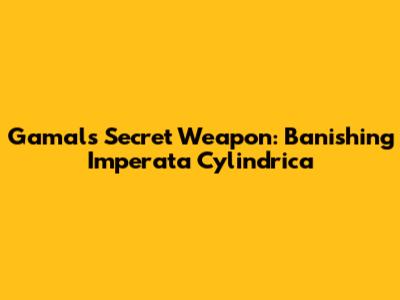 Gamal's Secret Weapon: Banishing Imperata Cylindrica