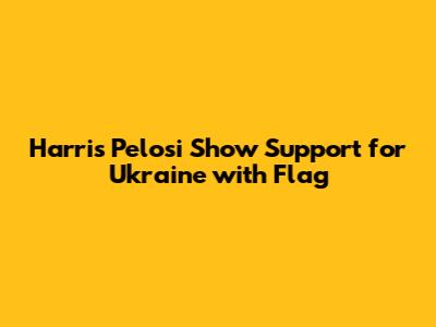 Harris Pelosi Show Support for Ukraine with Flag