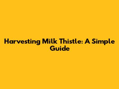 Harvesting Milk Thistle: A Simple Guide