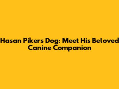 Hasan Piker's Dog: Meet His Beloved Canine Companion