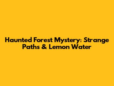 Haunted Forest Mystery: Strange Paths & Lemon Water