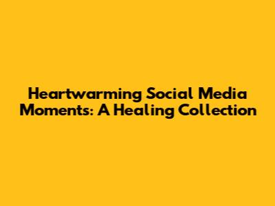 Heartwarming Social Media Moments: A Healing Collection