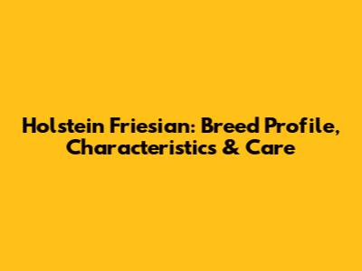 Holstein Friesian: Breed Profile, Characteristics & Care