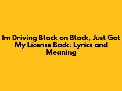 I'm Driving Black on Black, Just Got My License Back: Lyrics and Meaning
