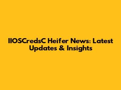 IIOSCredsC Heifer News: Latest Updates & Insights