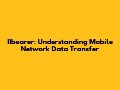 IIbearer: Understanding Mobile Network Data Transfer
