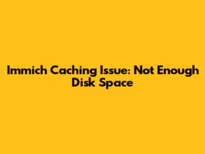 Immich Caching Issue: Not Enough Disk Space