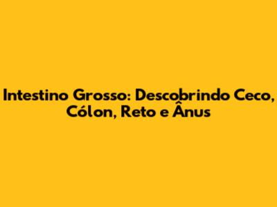Intestino Grosso: Descobrindo Ceco, Cólon, Reto e Ânus
