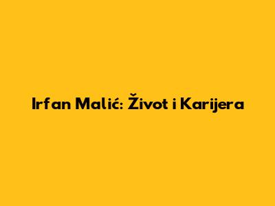 Irfan Malić: Život i Karijera