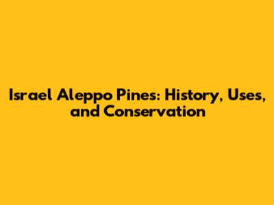 Israel Aleppo Pines: History, Uses, and Conservation