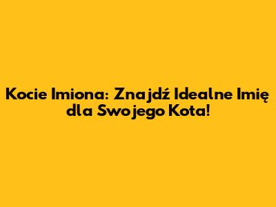 Kocie Imiona: Znajdź Idealne Imię dla Swojego Kota!