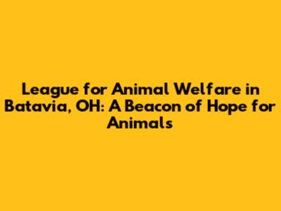 League for Animal Welfare in Batavia, OH: A Beacon of Hope for Animals