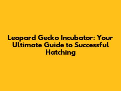 Leopard Gecko Incubator: Your Ultimate Guide to Successful Hatching