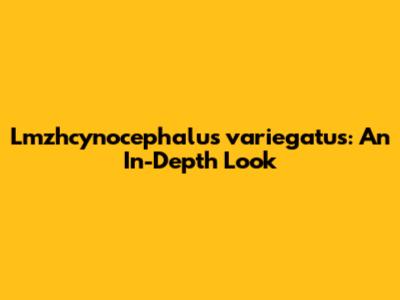 Lmzhcynocephalus variegatus: An In-Depth Look