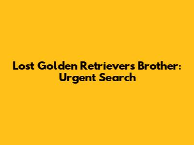 Lost Golden Retriever's Brother: Urgent Search