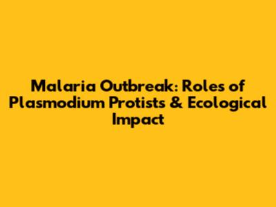 Malaria Outbreak: Roles of Plasmodium Protists & Ecological Impact