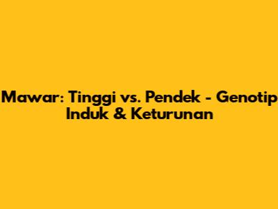 Mawar: Tinggi vs. Pendek - Genotip Induk & Keturunan