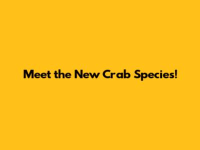 Meet the New Crab Species!