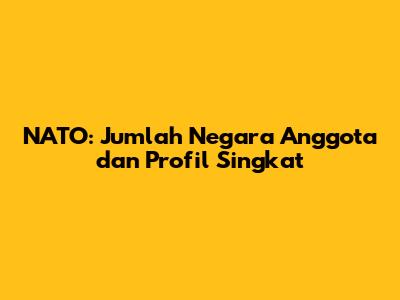 NATO: Jumlah Negara Anggota dan Profil Singkat