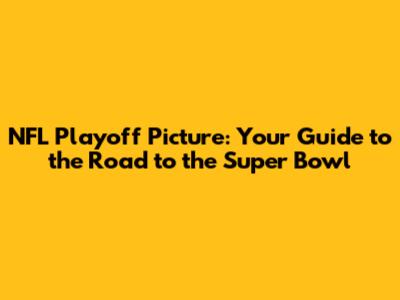 NFL Playoff Picture: Your Guide to the Road to the Super Bowl